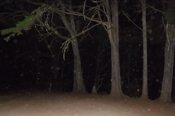 Recorrido a pie por la ruta de la noche del miedo