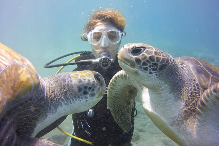 Sesión de iniciación al buceo en Costa Adeje
