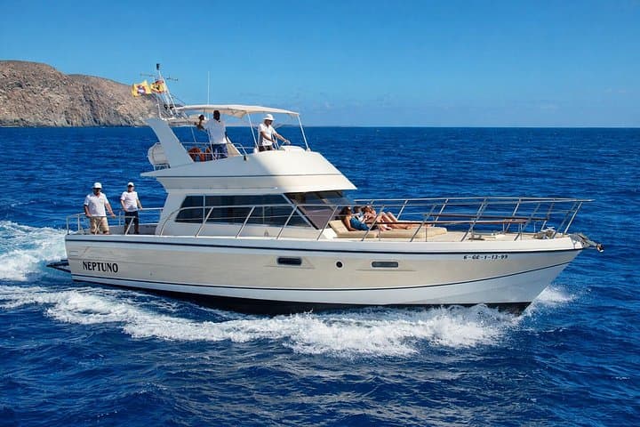 Descubre ballenas en Tenerife: tour en yate con baño y almuerzo