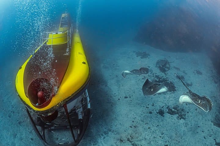 Tour Submarino de Tenerife con Recogida en Los Gigantes