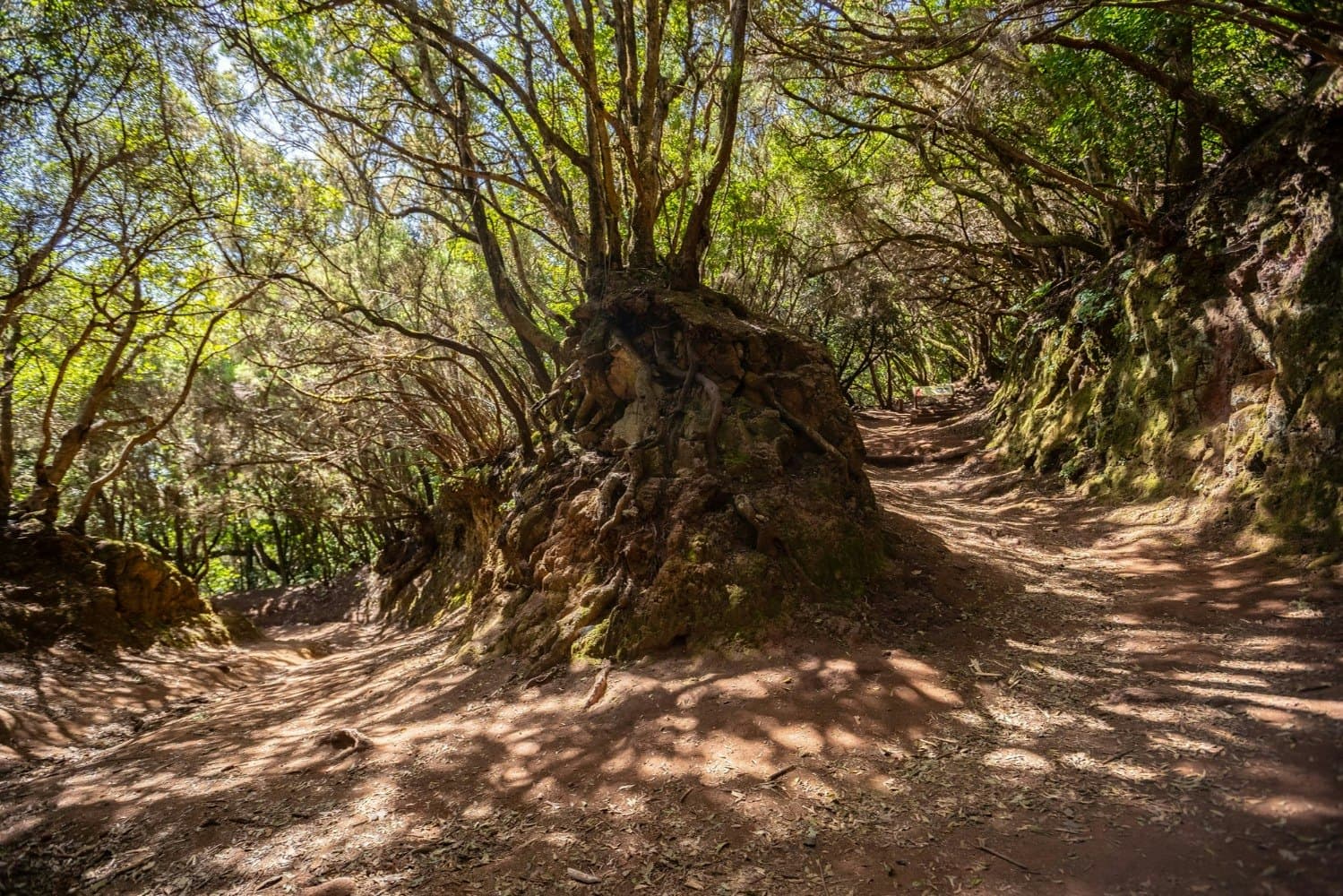 Parque Rural de Anaga