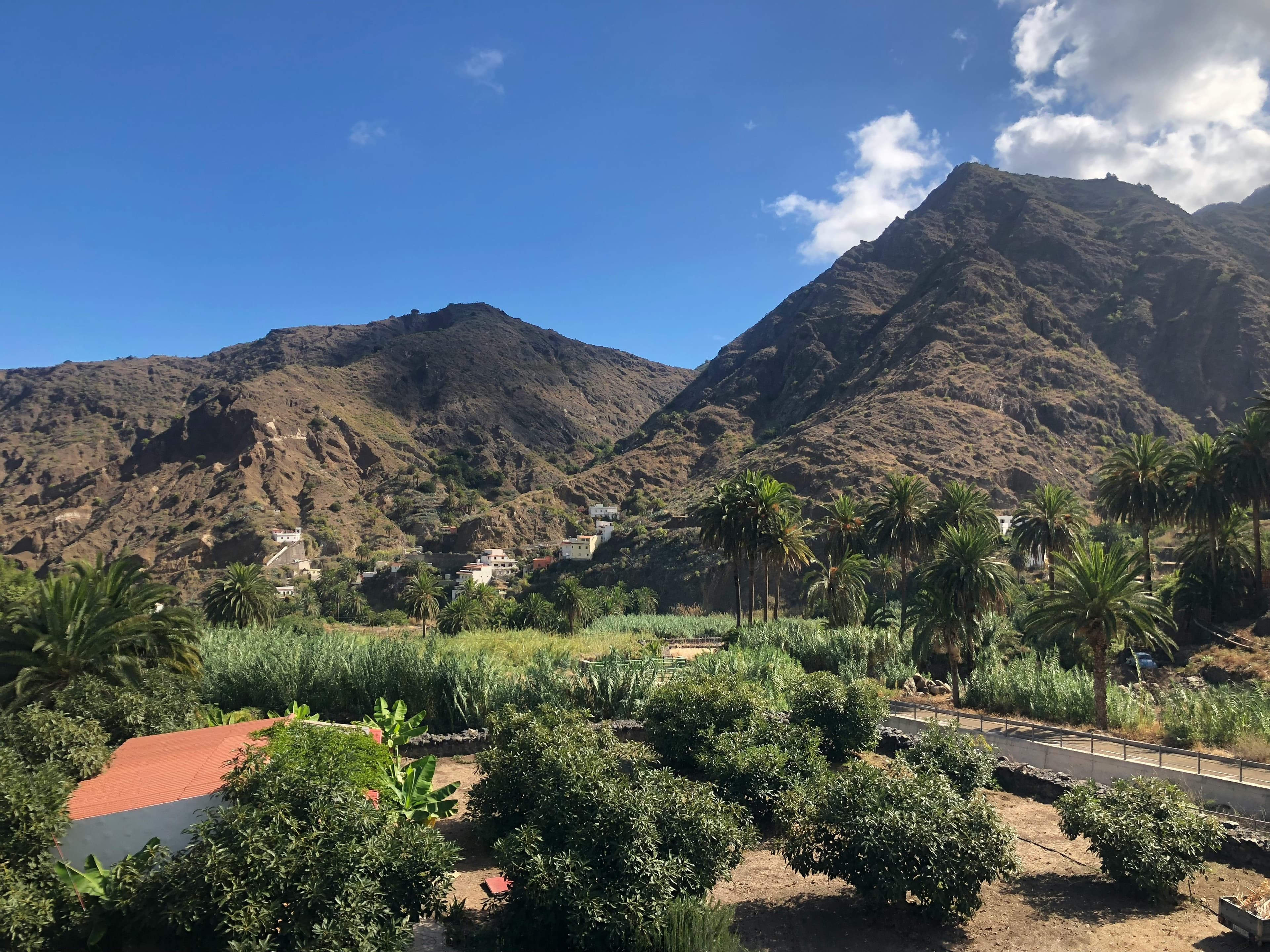 La Gomera Day Trips from Tenerife