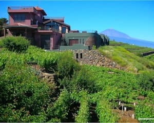 Bodegas Monje: Winery Visit & Wine Tasting