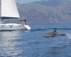 Tenerife: 3-Hour Sailing Tour to Los Gigantes with Snorkelling, Drink & Tapas