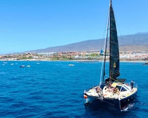 Tenerife: 3-Hour Whale & Dolphin Watching Catamaran Tour with Catering