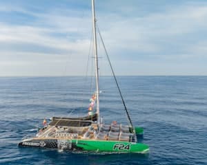 Tenerife: 3-Hour Whale & Dolphin Watching Tour