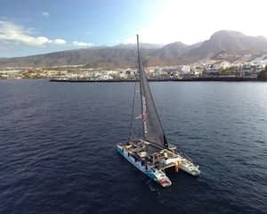 Tenerife: 3-Hour Whale & Dolphin Watching Eco-Catamaran Tour