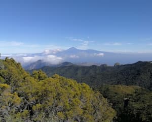 La Gomera Day Trip From Tenerife
