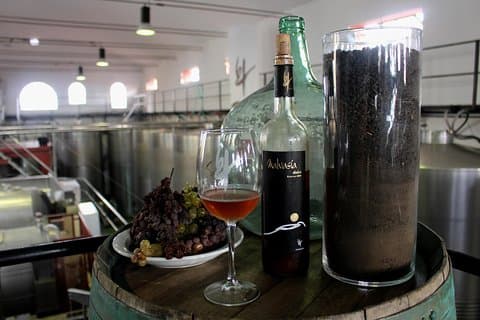 Visita Bodegas Teneguía en La Palma con Cata de vinos