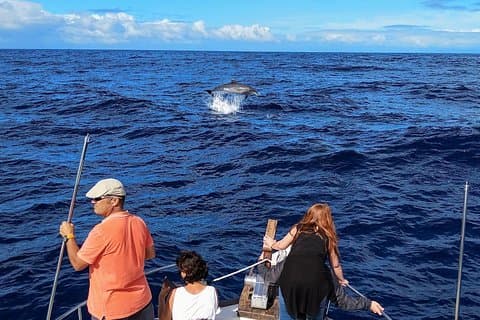 Tour Avistamiento Ballenas y Delfines en Barco de grupo reducido