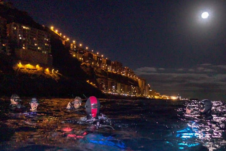 Buceo nocturno en Tenerife