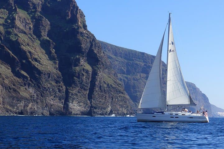 Travesía de avistamiento de ballenas a Los Gigantes en velero
