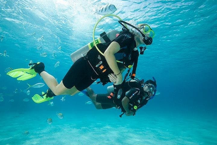 Descubre el buceo con dos inmersiones en el océano en Tenerife con traslados