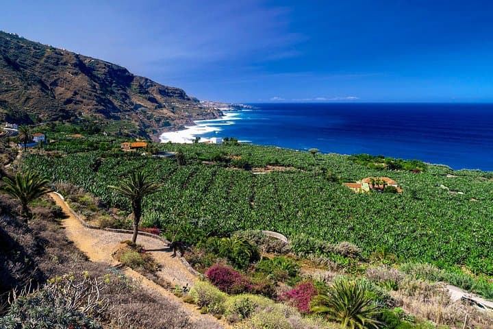 Tour Privado Tenerife Norte: Por Pueblos y Puertos