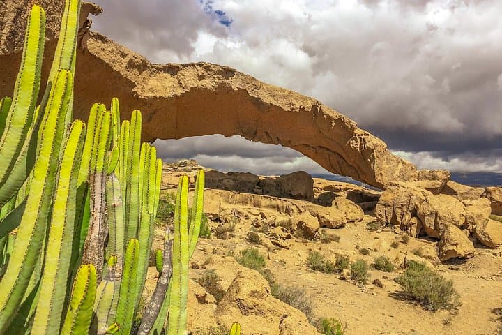 Tour Privado Tenerife Sur: Secretos de los Volcanes