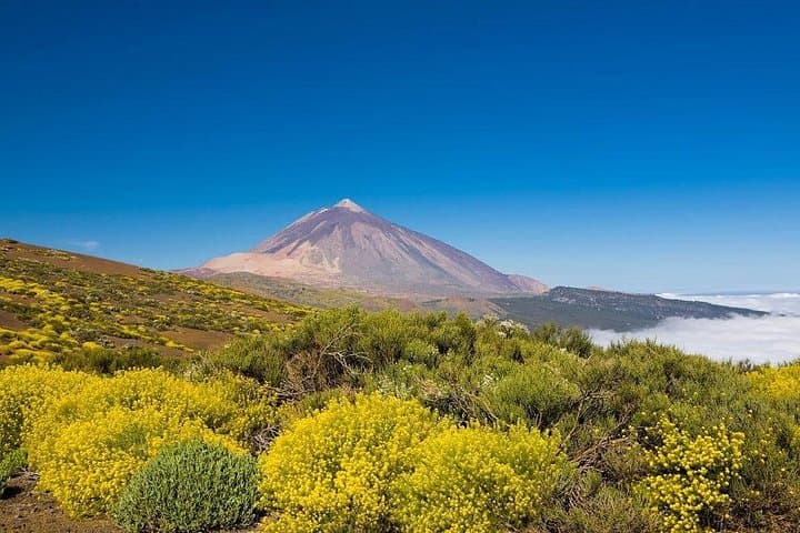 Excursión privada al volcán y al Teide en Tenerife