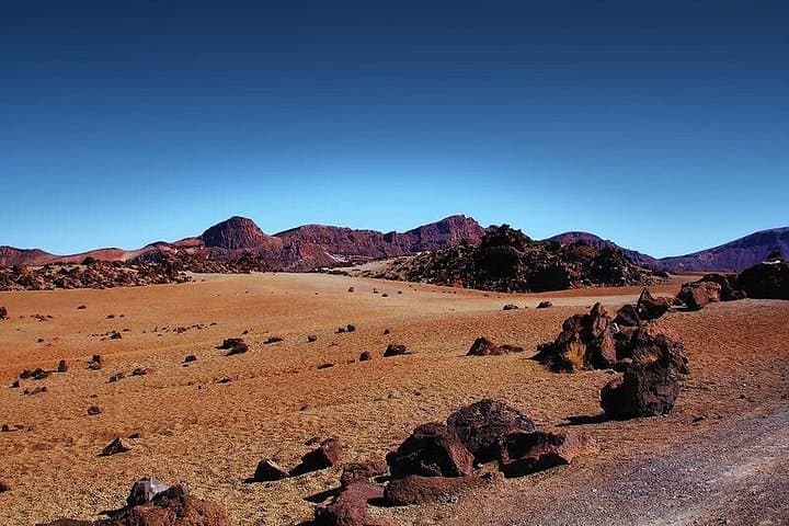 Tour privado de 8 horas a El Teide desde el hotel Tenerife con conductor / guía