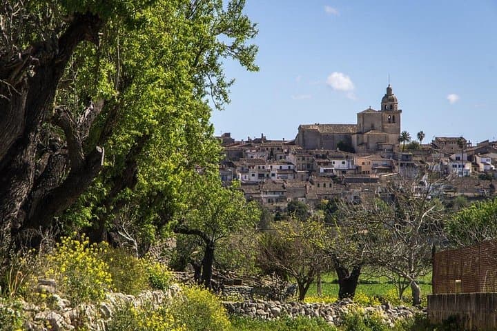 Tour Privado: Pueblos del interior de Mallorca y maravillas escondidas