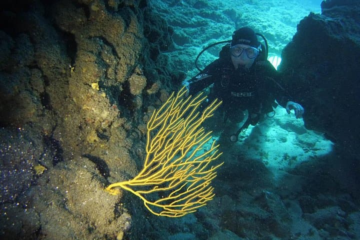 DESCUBRE EL BUCEO - Primer paso para su certificación