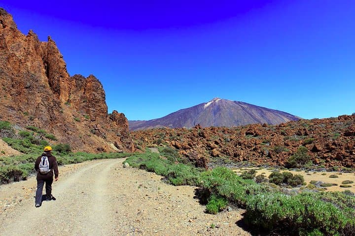 Excursión privada de un día completo a la cima del Teide: vaya de excursión y regrese en teleférico