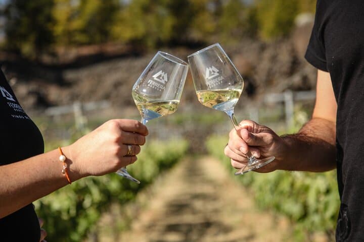Visita a Viñedo de Montaña en Arafo y Cata de Vinos Ecológicos