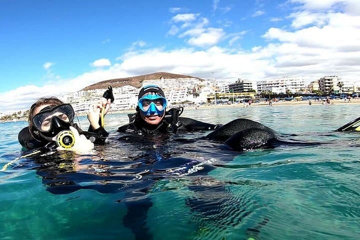 Descubre el mundo submarino FOTO Y VIDEO gratis