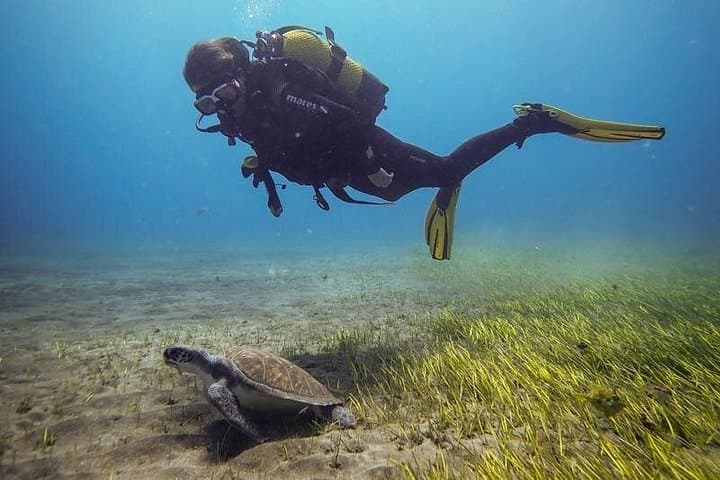 SSI Open Water, Tenerife Sur