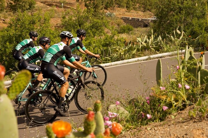 Ciclismo en ruta Tenerife - Ruta de Vilaflor