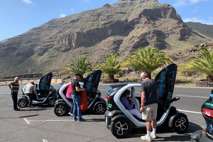4 - Tour Eco Safari de Montaña con Coche Eléctrico en Tenerife
