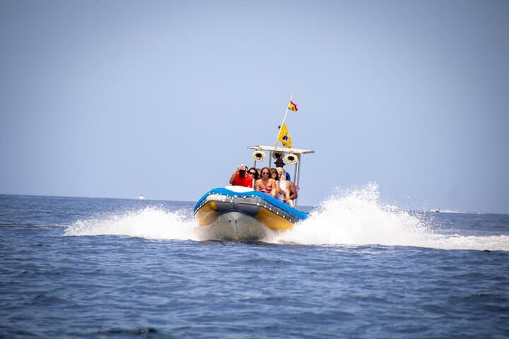 SEA SAFARI Delfines, Ballenas, snorkel, snack, bebida, 3h privado