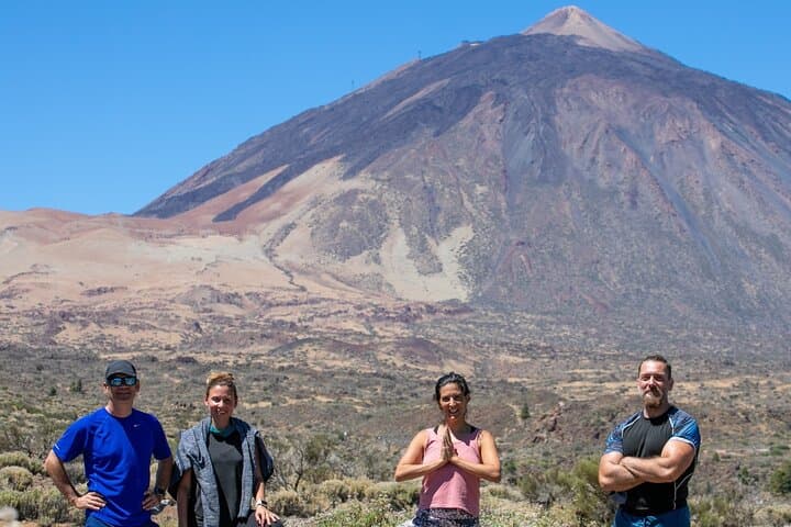 Experiencia Volcánica de Medio Día en Teide, Tenerife