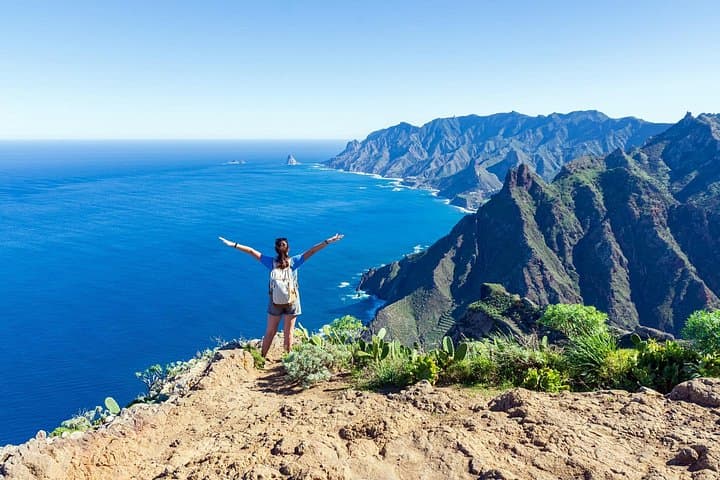 Tour privado de día completo por la costa en Tenerife desde el puerto de Santa Cruz