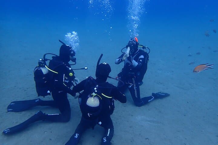 Curso Open Water Diver en Lanzarote