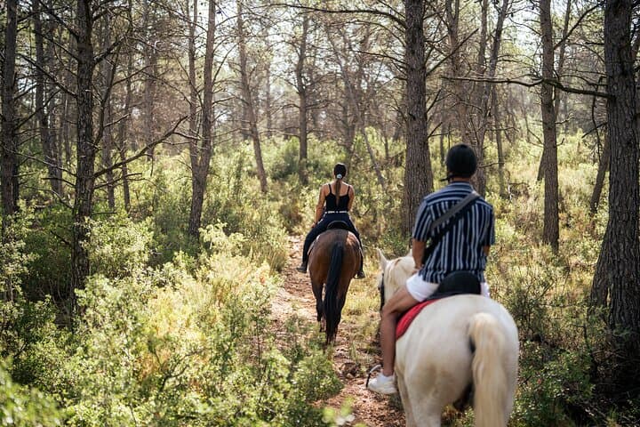 Paseo a caballo y bodega (tour privado)
