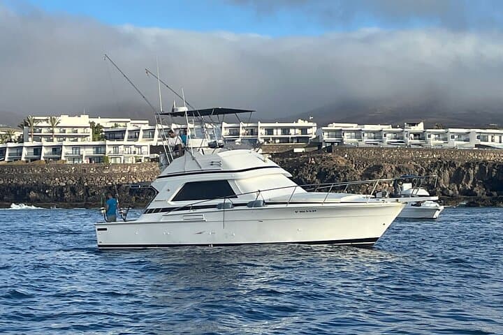 Macaronesia Charter de Pesca en La Gomera (Islas Canarias)