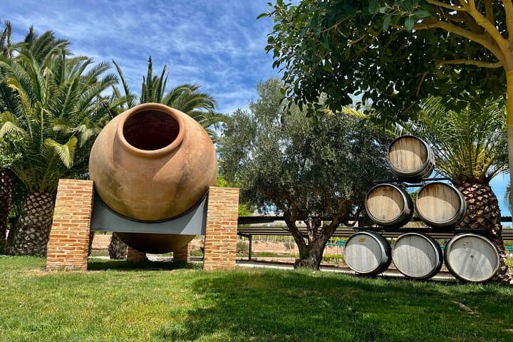 Alicante Ruta del Vino con catas y aperitivo
