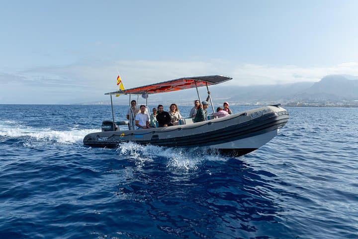 Tour Privado 2 horas para ver ballenas y delfines en Tenerife