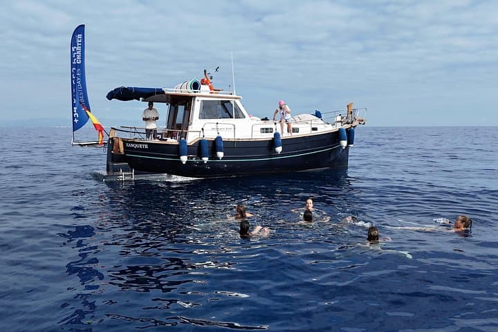 Navega en la Costa de Valencia en barco privado