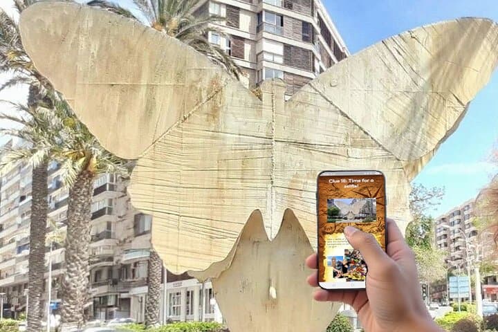 Búsquedas autoguiadas de carroñeros en Alicante con 4 ubicaciones