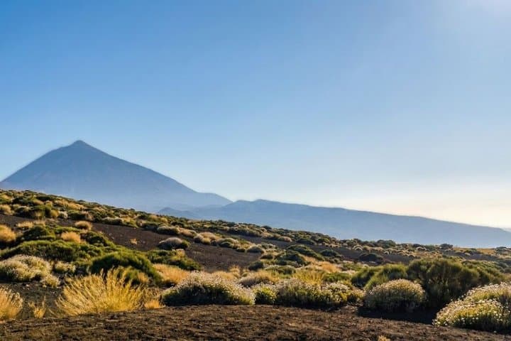 Visita guiada privada al Teide y Norte de Tenerife