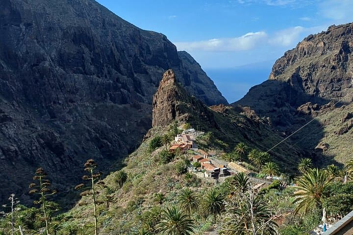 Tour al Parque Nacional del Teide en minibús