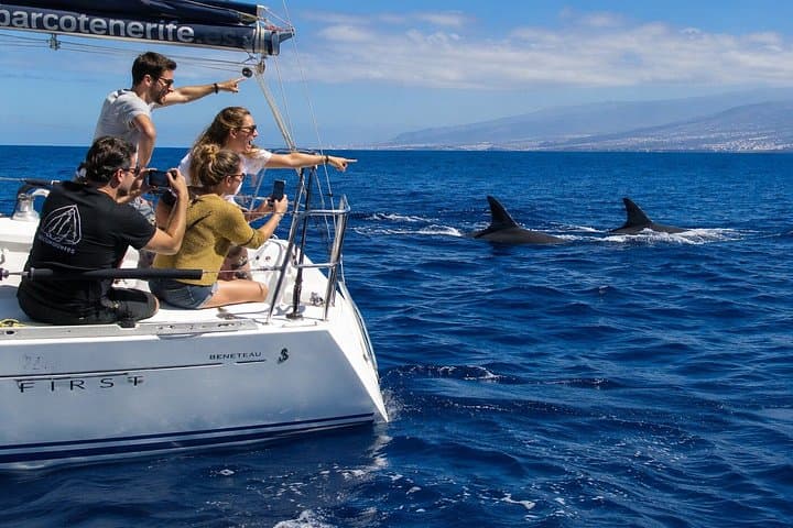 Excursión en el velero 'Soñador' en grupo reducido con natación