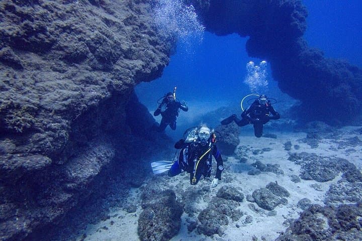 Guía 2 - Excursión de Buceo en Tenerife Sur