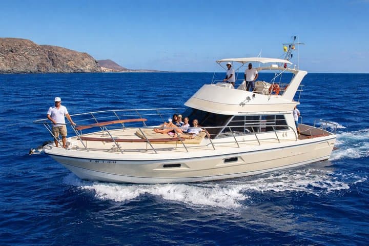Descubre Ballenas en Tenerife : Tour en Yate Compartido, Natación & Almuerzo