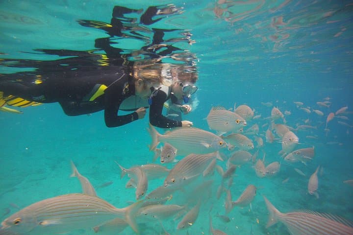 Excursión de snorkel Get Wet a Isla de Lobos desde Corralejo