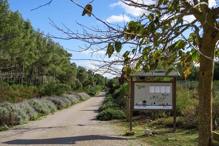 Son Carrió Vía Verde en bici + Museu del Ferrocarril de Mallorca
