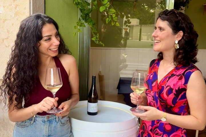 Tour a la Ciudad de las Artes y las Ciencias con degustación privada de vinos y cervezas