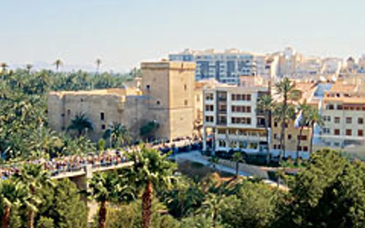 Vista de Elche