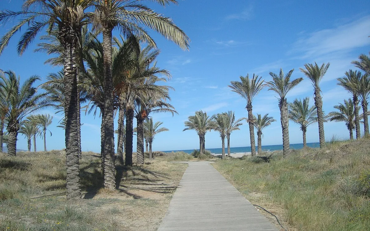 Vista de Playa del Palmeral o del Pinar (Castellón de la Plana), imagen relacionada con Playas cerca de Castellón de la Plana en transporte público