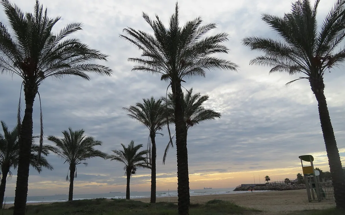 Vista de Playa del Pinar, playa del Palmeral (Castellón de la Plana), imagen complementaria relacionada con Playas cerca de Castellón de la Plana en transporte público